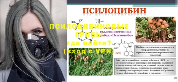 PSILOCYBIN Майский
