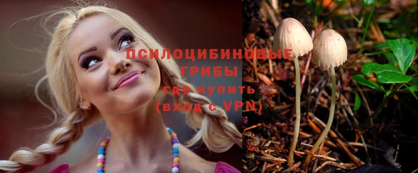 apvp Зерноград