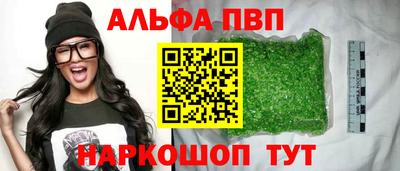 стаф Абакан