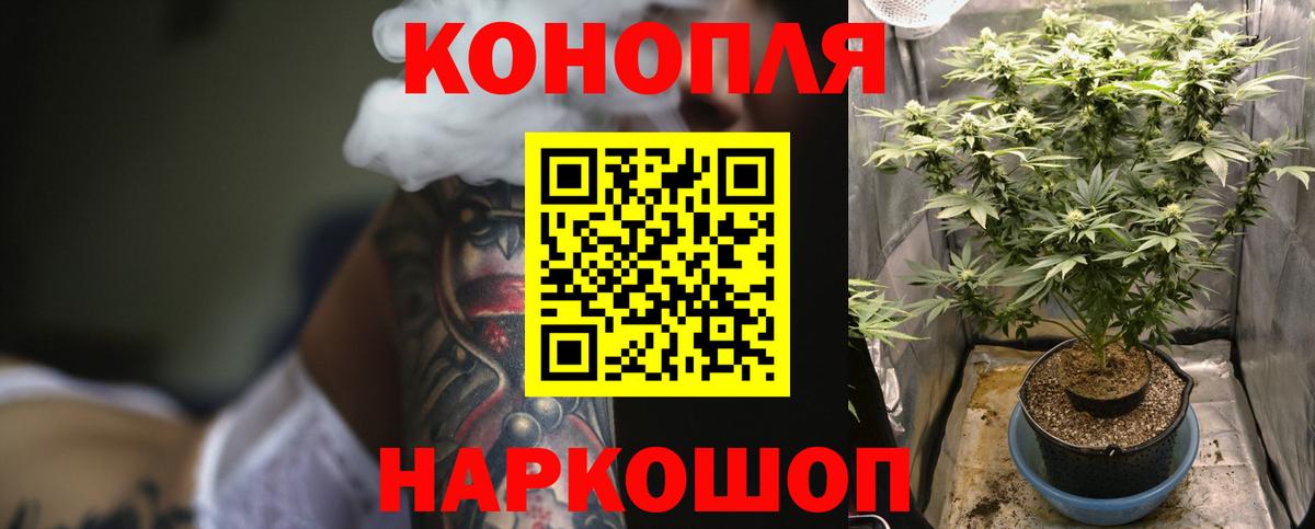 МАРИХУАНА ГИДРОПОН Славгород